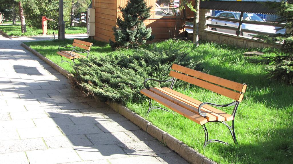 Dafne Zakopane Bed and Breakfast Buitenkant foto