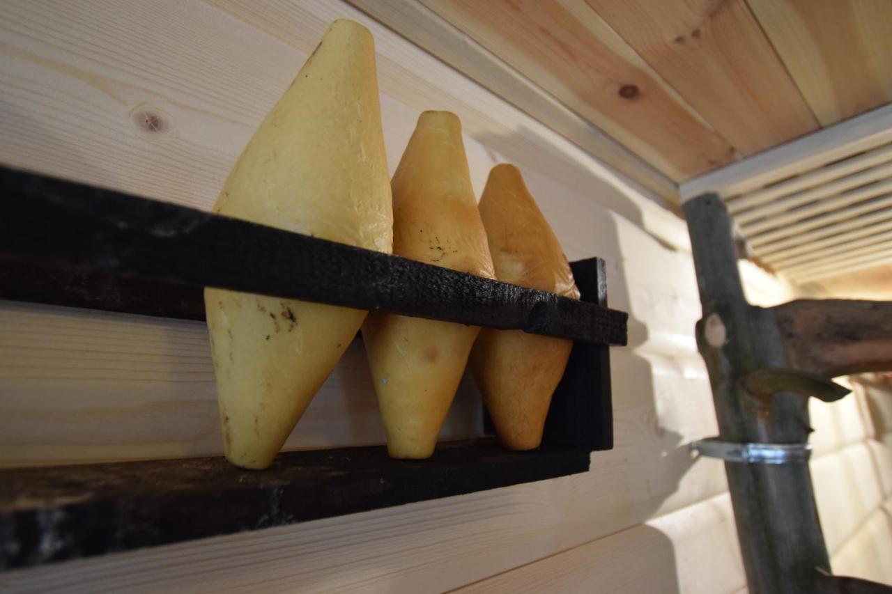 Dafne Zakopane Bed and Breakfast Buitenkant foto